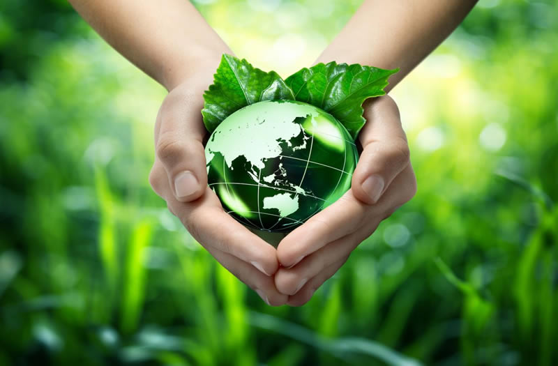 Día Mundial de la Tierra: ¿qué podemos hacer para cuidarla?