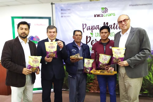 Empresa peruana logra la mayor exportación de papas nativas de la historia