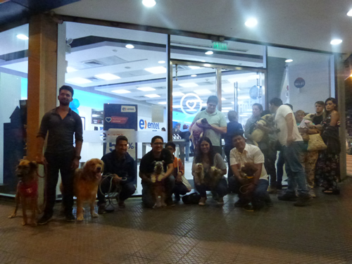 Entel operadora que permite el ingreso de Perros a sus Tiendas