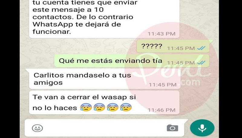 WhatsApp y una función para frenar las cadenas de mensajes