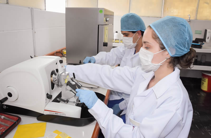 Instituto Carrión presenta su nueva imagen enfocada en la revalorización del profesional técnico