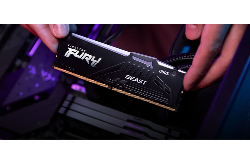 Kingston FURY agrega a su línea módulos DDR5 certificados para AMD EXPO