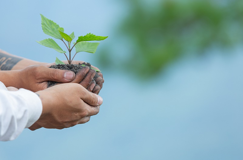 KOMATSU-MITSUI, reconocida por MINAM por Verificación de Huella de Carbono