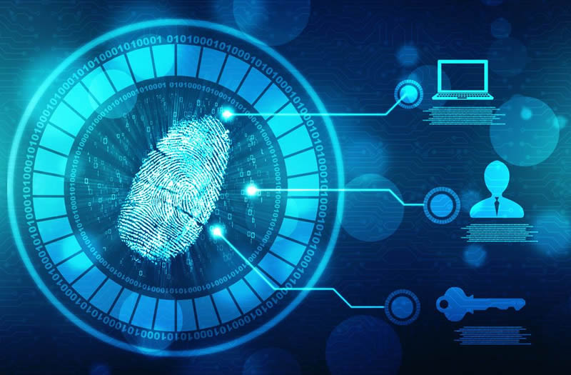 Kaspersky: Más de un tercio de los empleados peruanos accede a información confidencial de clientes
