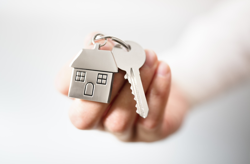 Sector inmobiliario se mantiene a pesar de la crisis política