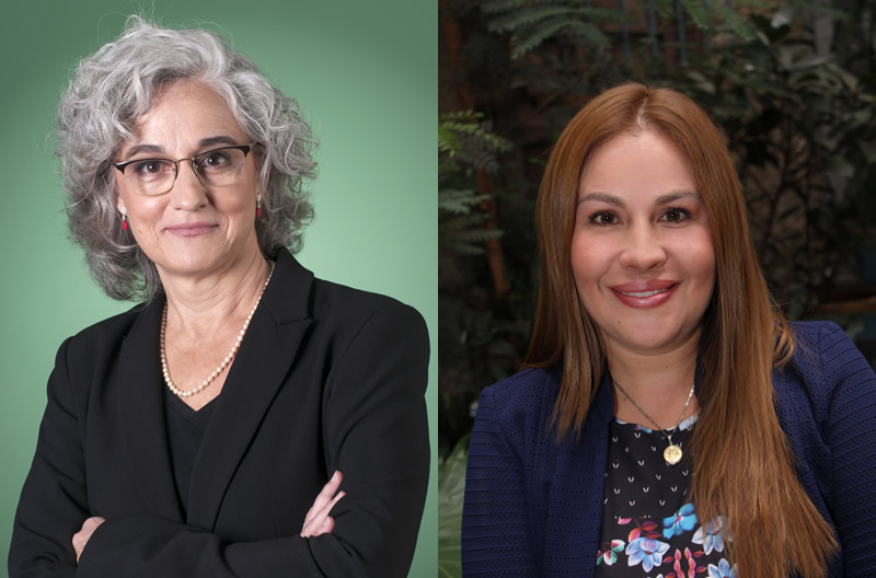 Falta de inspiración: solo el 17% de las mujeres peruanas en el sector de tecnología tuvo un modelo a seguir femenino