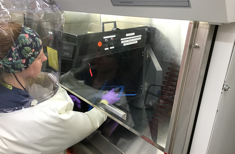 Virus del COVID-19 se desactiva en seis segundos con luz UV-C, según investigación