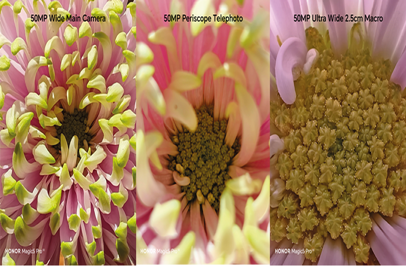Zoom vs Macro: Consejos para aprovechar los lentes de HONOR Magic5 Pro